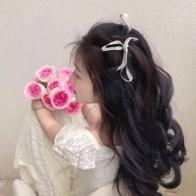 柴生芳